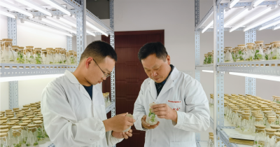 研發(fā)團(tuán)隊